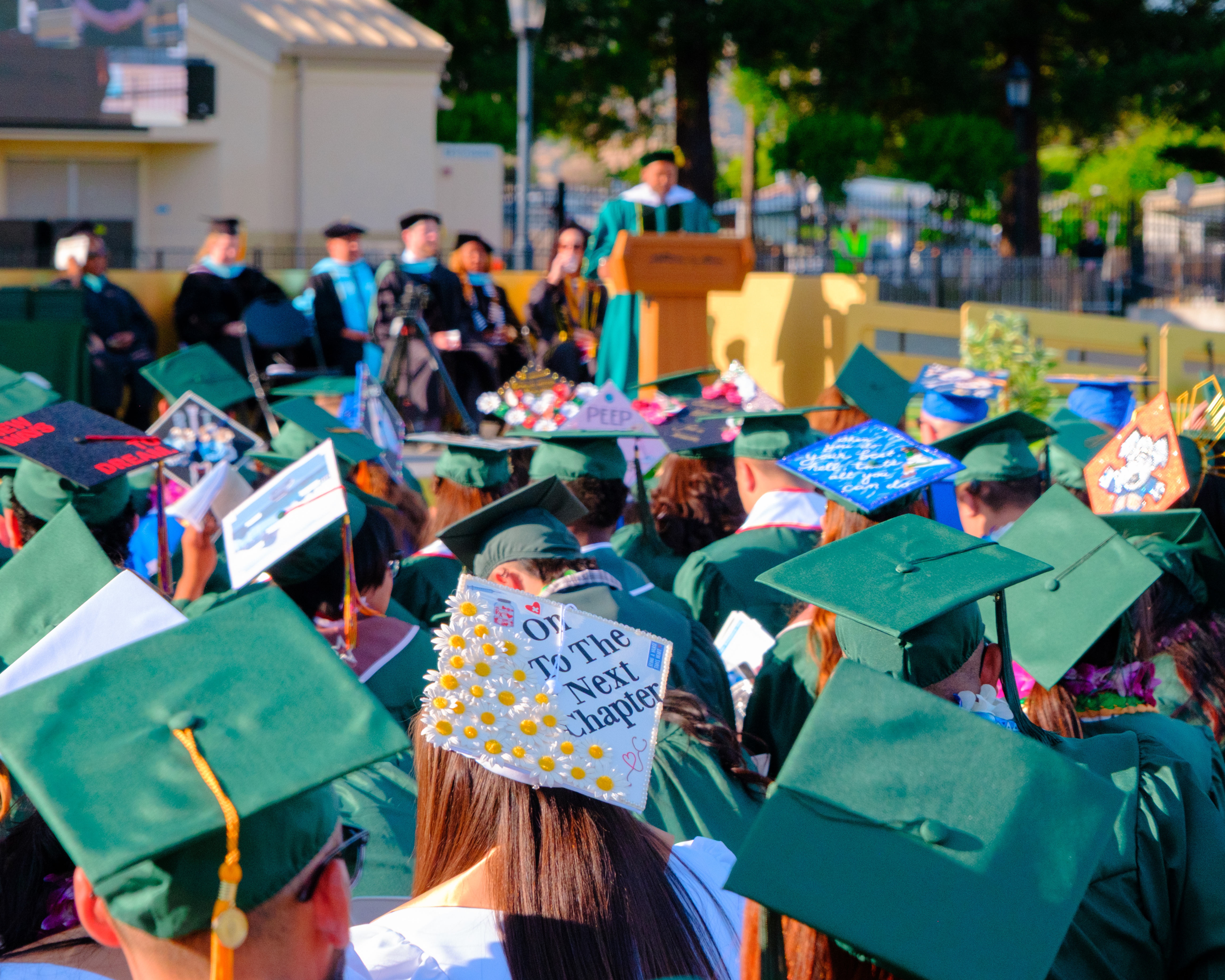Photo of decorated grad caps 