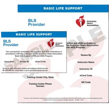 AHA BLS for Provider