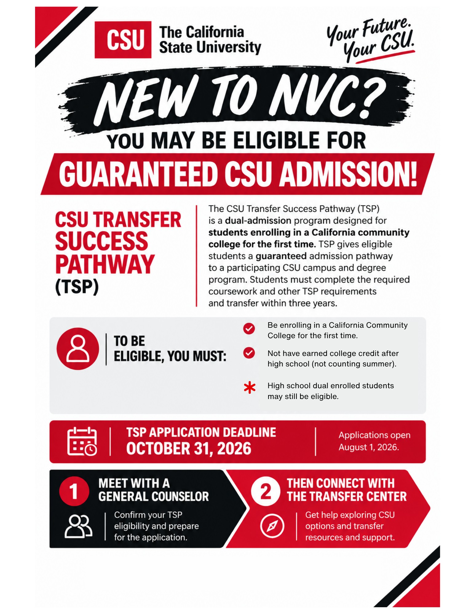TSP flyer
