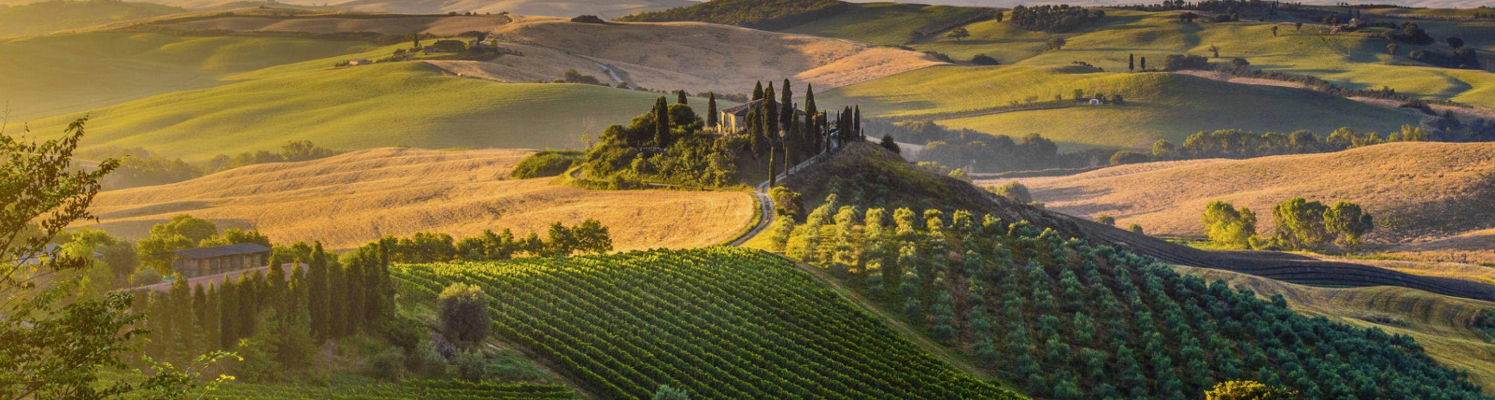 Tuscan & Umbrian Countryside